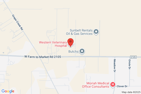 Codi Spence - Western Veterinary Hospital