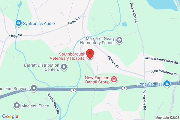 Sharon Westphal - Southborough Veterinary Hospital