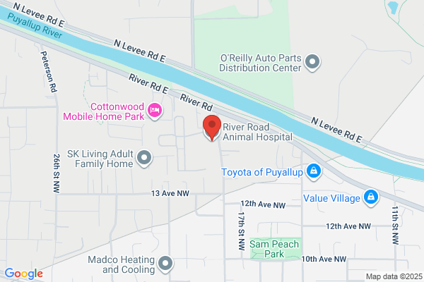River Road Animal Hospital