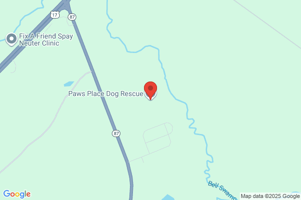 Paws Place Inc