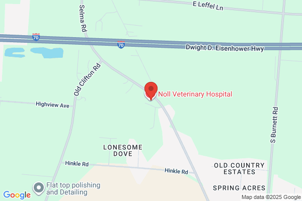 Kaitlin Gutherman - Noll Veterinary Hospital