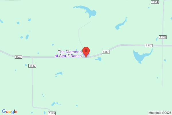 The Diamond Star Ranch