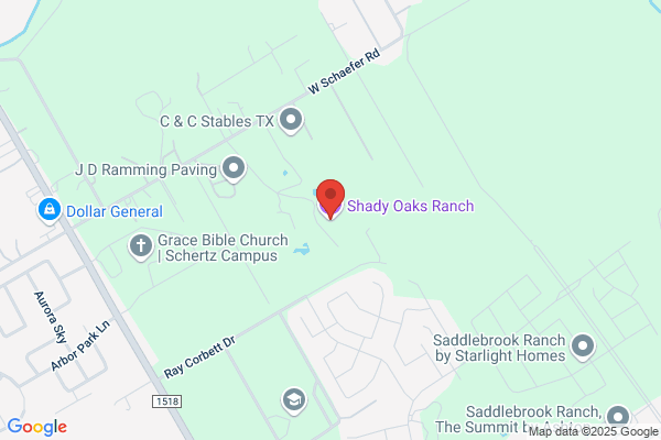 Cibolo Creek Kennels