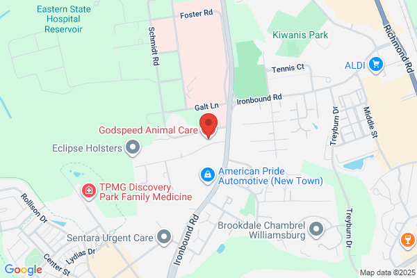 Britt Cohen - Godspeed Animal Care