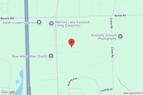 Arborist Tree Removal Services LLC