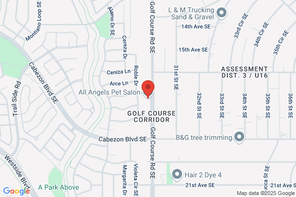 All Angels Pet Salon