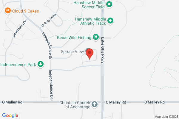 Spruce View