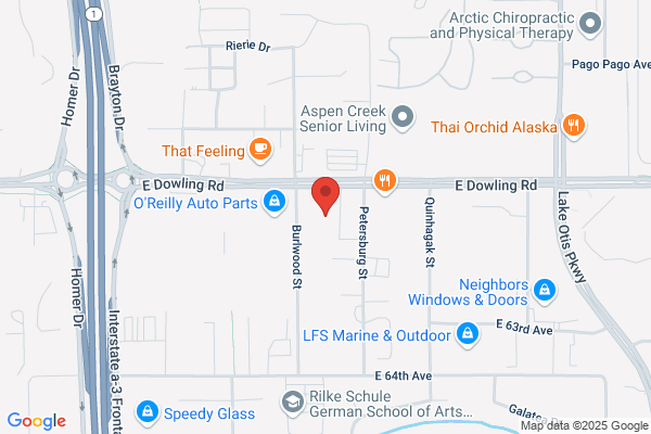 Ace Auto Body