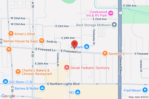 Lewis & Lewis Computer Store