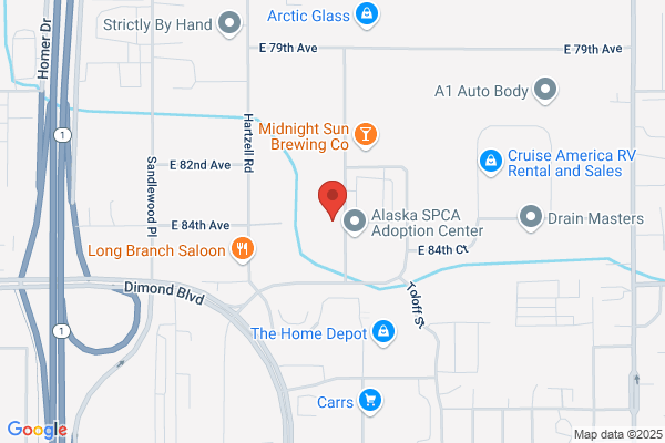 Denali Drilling Inc