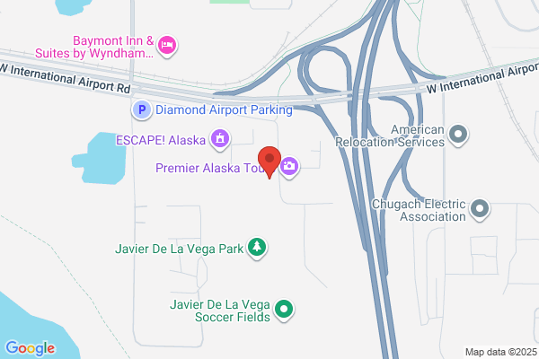 Self Diamond Storage