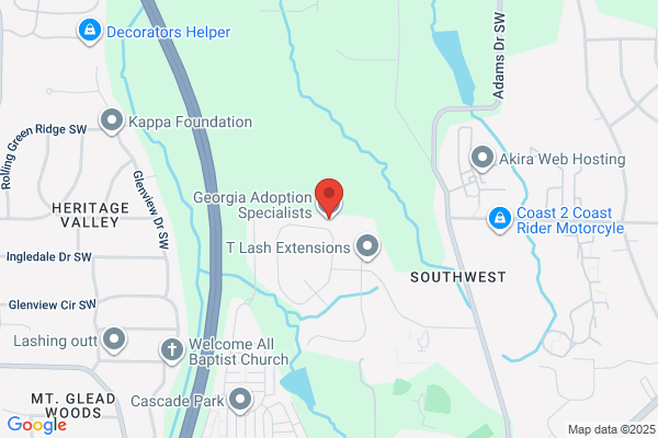 Georgia Adoption Specialists