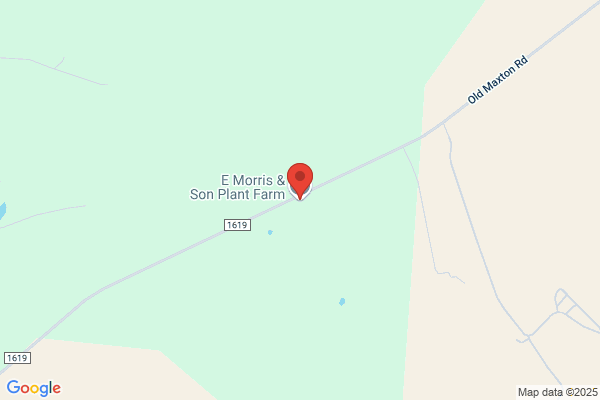 Morris and Sons Nurseries Inc