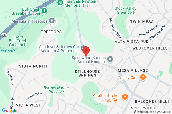 Spicewood Dental