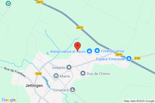 Elsass Properties