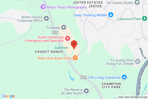 PHP Agency, Austin, TX