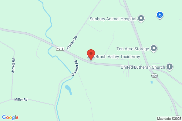 Penns Valley Taxidermy
