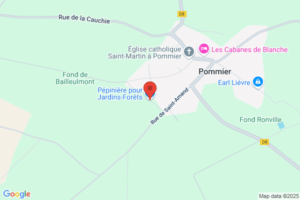 Pommier Plants Etc