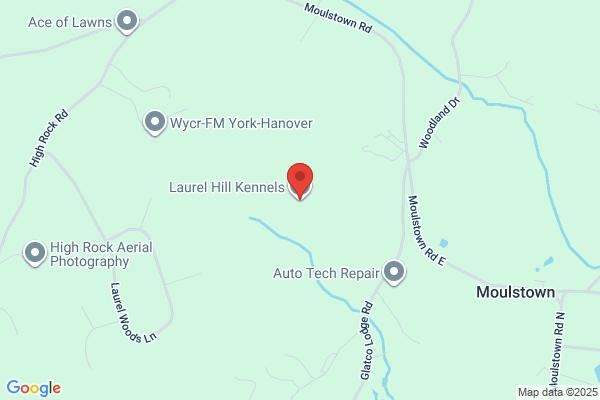 Laurel Hill Kennels