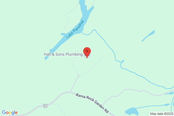 Hall & Son's Plumber