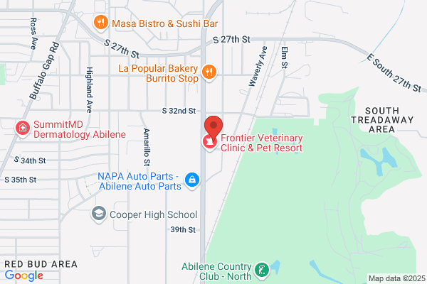 AutoZone Auto Parts