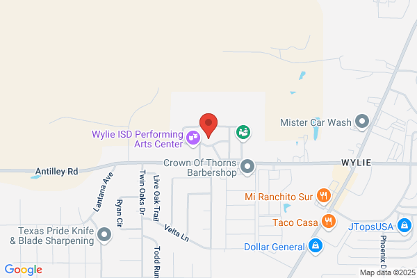 Wylie Independent School District, High School (Grades 9-12)