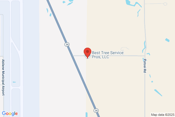 Best Tree Service Pros, LLC.
