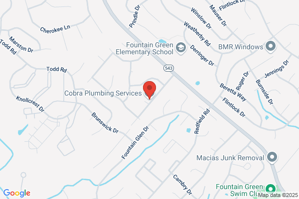 Cobra Plumbing Services Inc