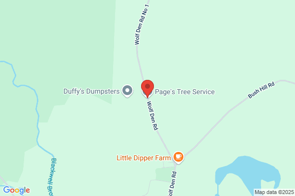 Page's Tree Service LLC