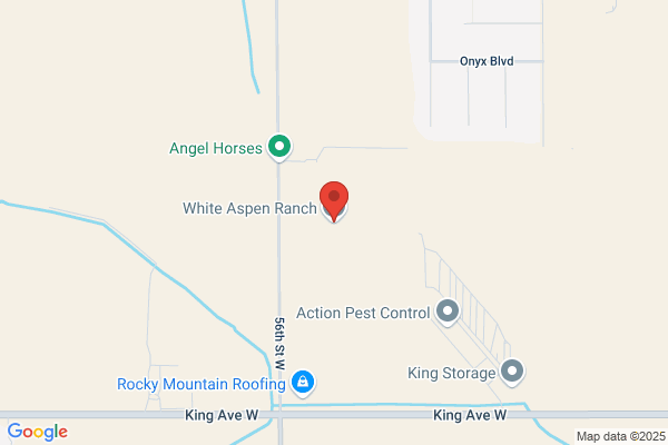 Quaking Aspen Ranch