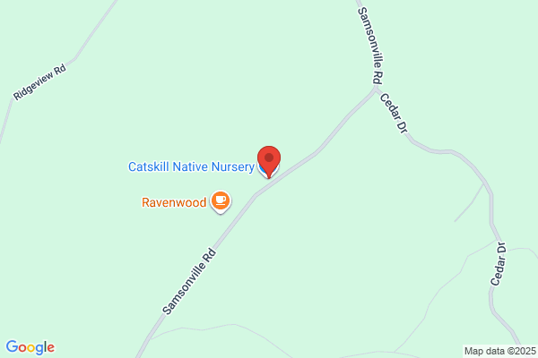 Catskill Native Nursery
