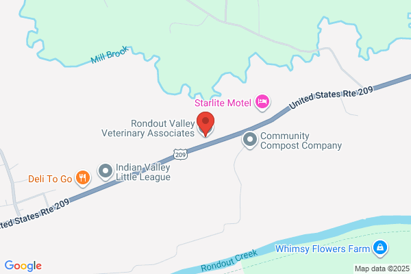 Rondout Valley Veterinary Associates