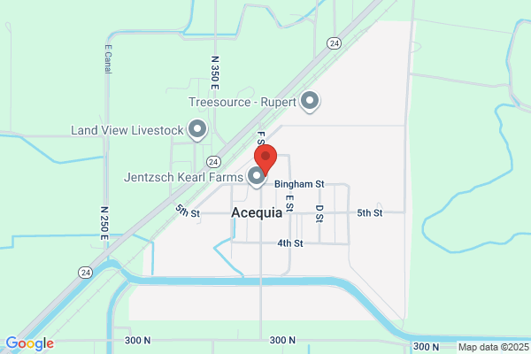 Acequia Automotive, Inc.