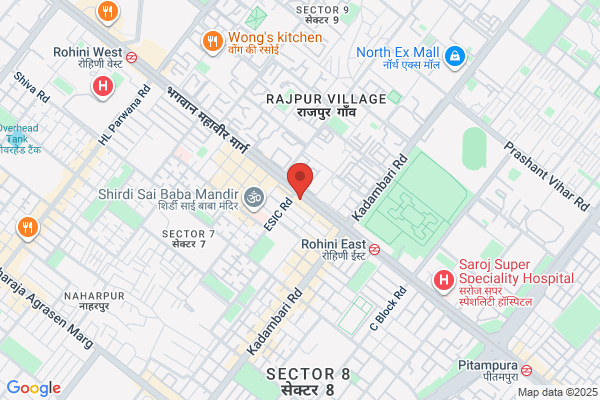 Digital Marketing Agency in Rohini