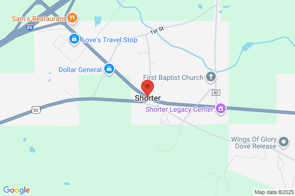 Shorter's Travel