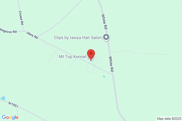 Mt Top Kennel