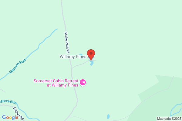 Willamy Pines