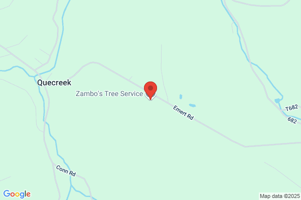 Zambo's Tree Service