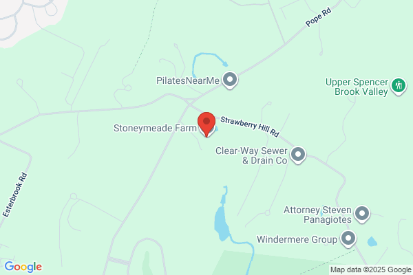 Stoneymeade Pine