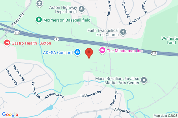 Automotive Finance Corporation