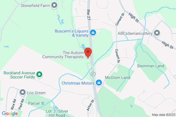 The Autism Community Therapists, LLC