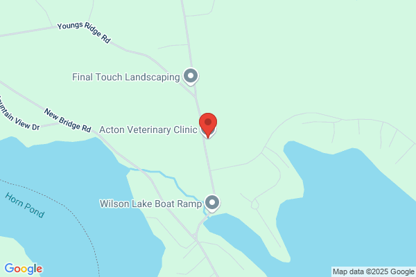 Acton Veterinary Services