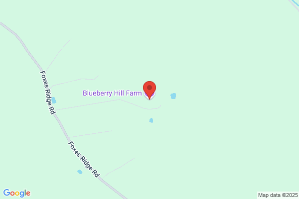 Blueberry Hill Farm