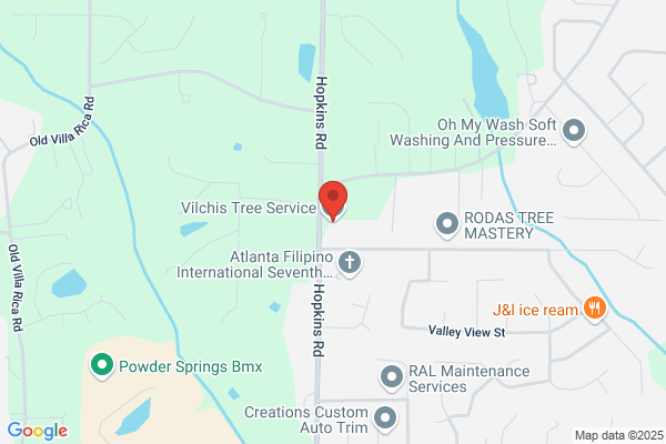 Vilchis Tree Service of Acworth