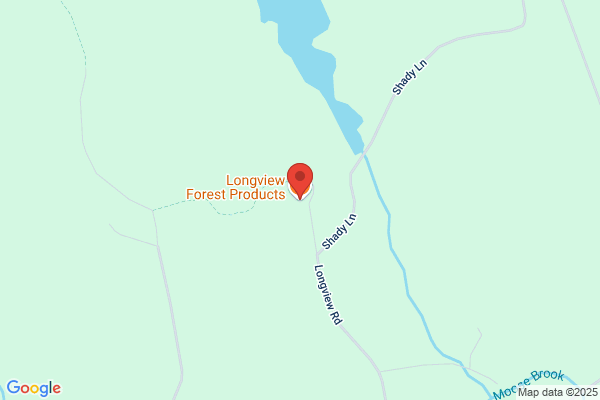 Long View Forest