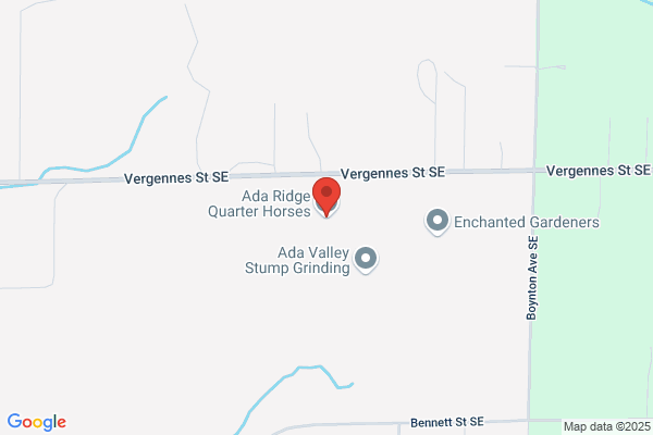 Ada Ridge Quarter Horses
