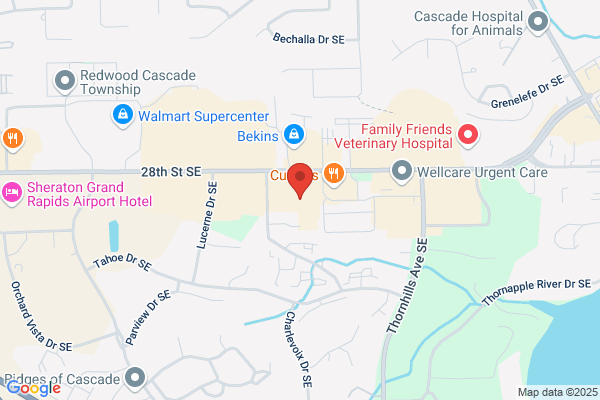 AAA Insurance - Plouff Family Agency