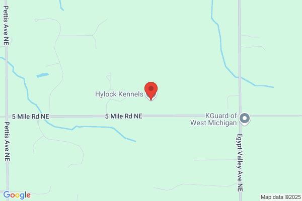 Hylock Kennels