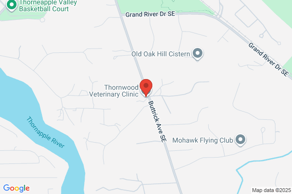 Thornwood Veterinary Clinic & Kennel PC