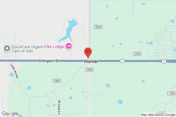 Homer Stop-N-Go